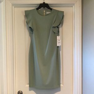 NWT short sleeve dress Smoke-free pet free Calvin Klein. Super cute.